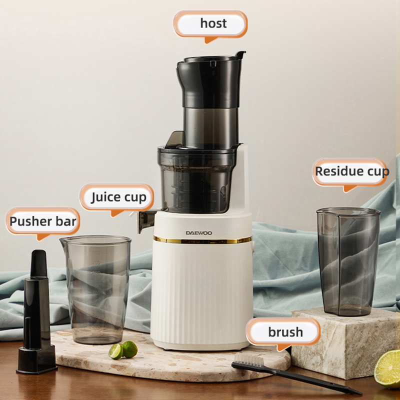 Frullatore portatile Spremiagr - Electric Slow Juicer Cold Press recensione e prezzo
