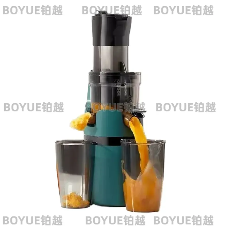 Estrattore di succo a freddo a - Electric Slow Juicer Cold Press recensione e prezzo